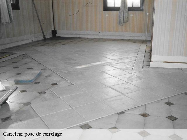 Carreleur pose de carrelage  93300