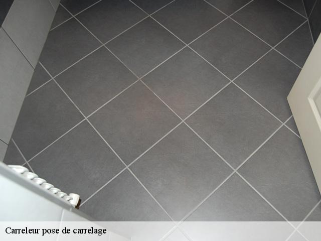 Carreleur pose de carrelage  93300