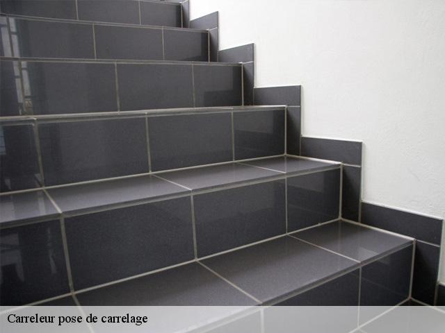 Carreleur pose de carrelage  93600