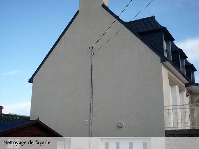 Nettoyage de façade Seine-Saint-Denis 