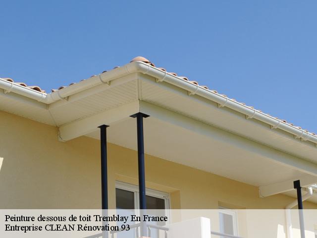 Peinture dessous de toit  tremblay-en-france-93290 Entreprise CLEAN Rénovation 93