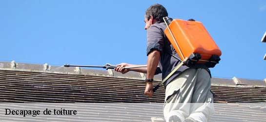 Decapage de toiture Seine-Saint-Denis 