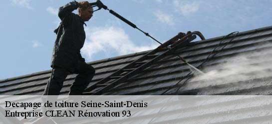 Decapage de toiture Seine-Saint-Denis 