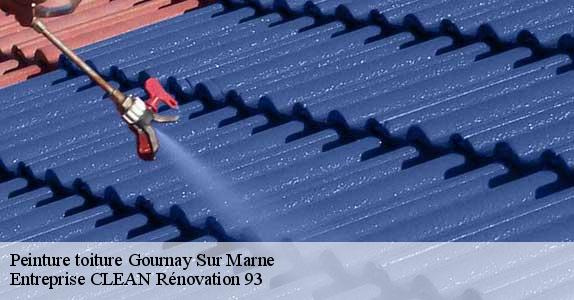 Peinture toiture  gournay-sur-marne-93460 Entreprise CLEAN Rénovation 93