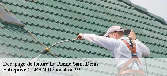 Decapage de toiture  93210